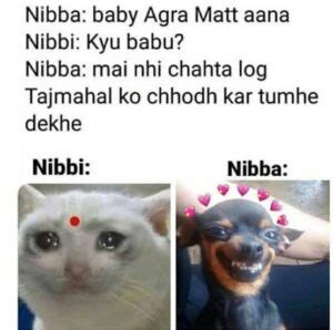 nibba nibbi|nibba nibbi meaning in hindi.